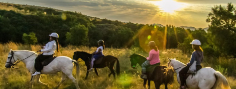 Harties Horse Trail