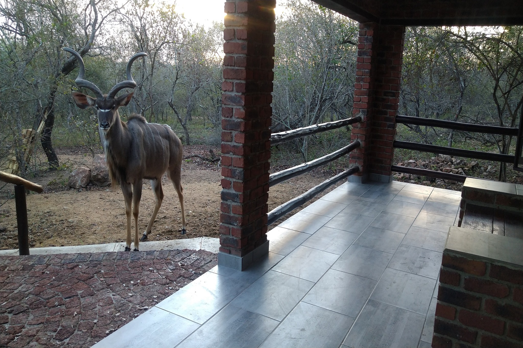 Tourism-Friendly-Villa-De-Leeu-Self-Catering-Kudu